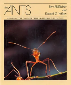 The Ants