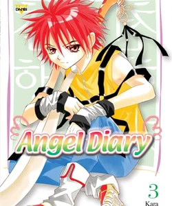 Angel Diary, Vol. 3