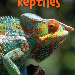 Reptiles (Scholastic True or False)