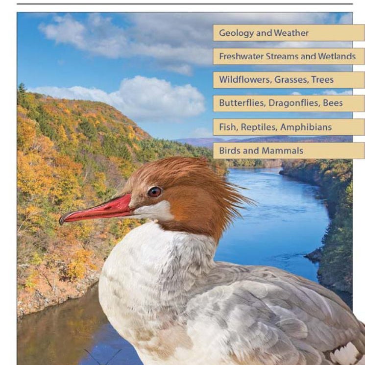 A Field Guide to the Connecticut River