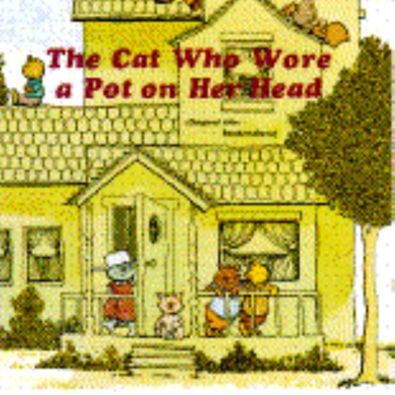 The Cat Who Wore a Pot on Her Head