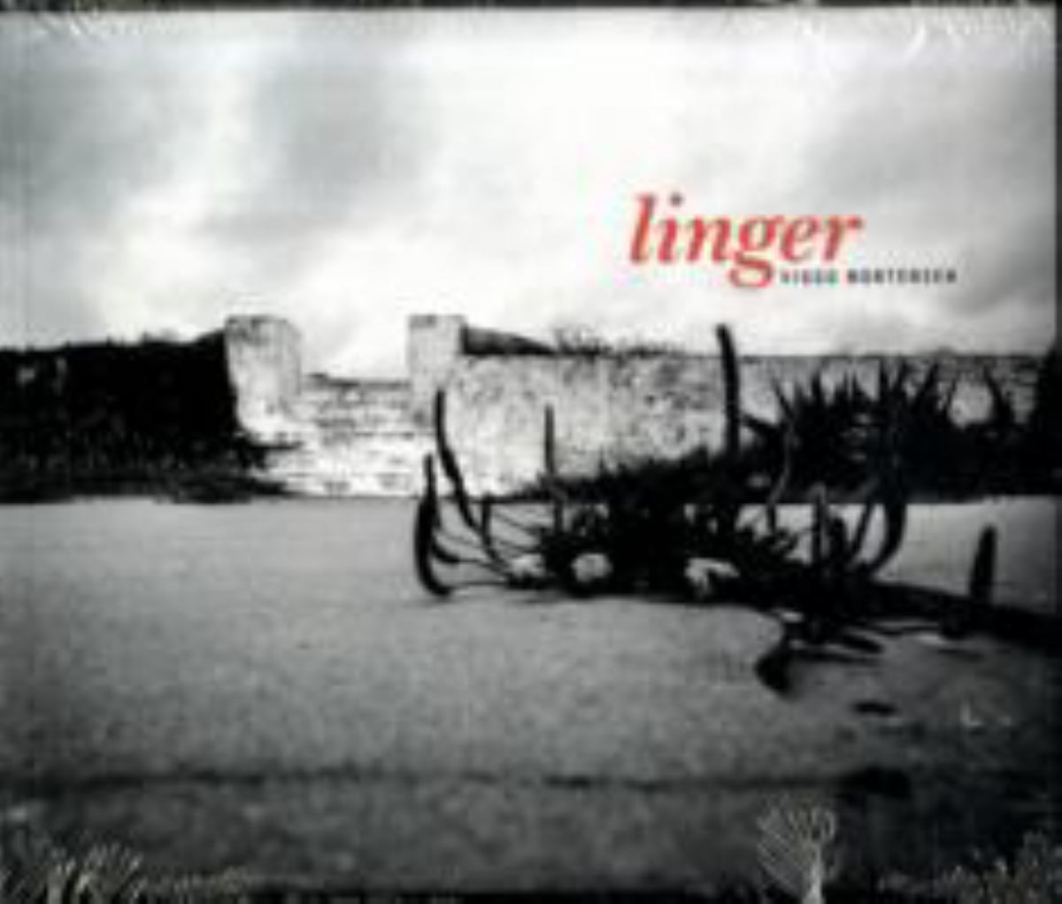 Linger (SOFT COVER)
