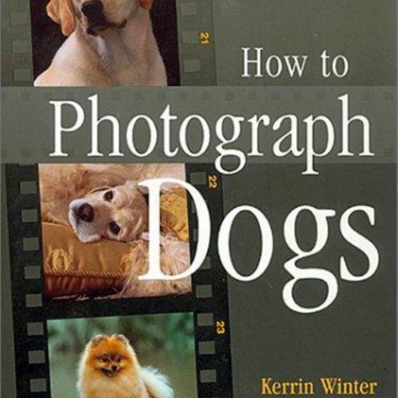 How to Photograph Dogs