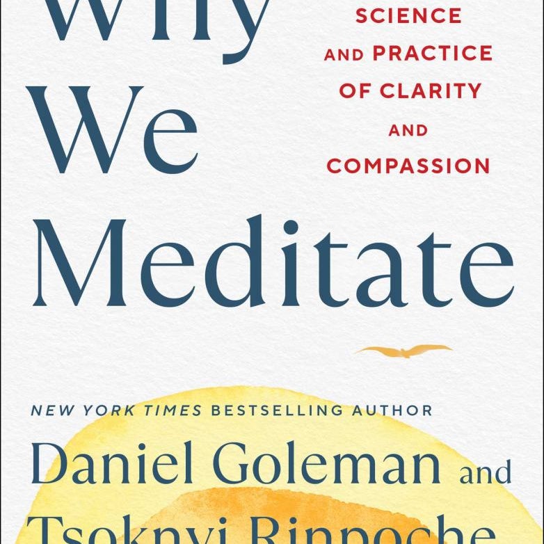 Why We Meditate