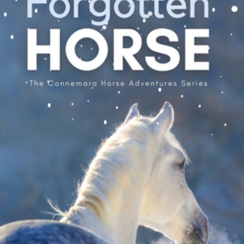 The Forgotten Horse - Book 1 in the Connemara Horse Adventure Series for Kids. the Perfect Gift for Children Age 8-12