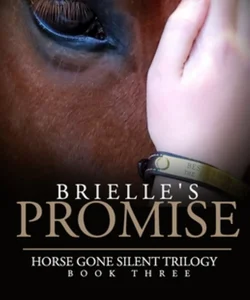 Brielle's Promise
