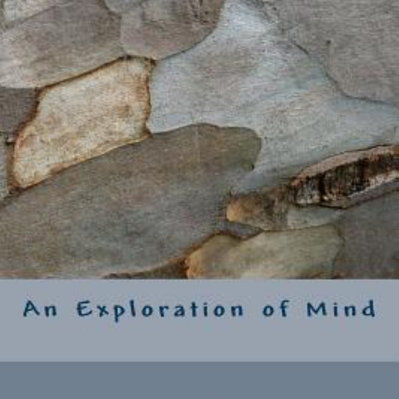 An Exploration of Mind