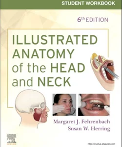 Student Workbook for Illustrated Anatomy of the Head and Neck