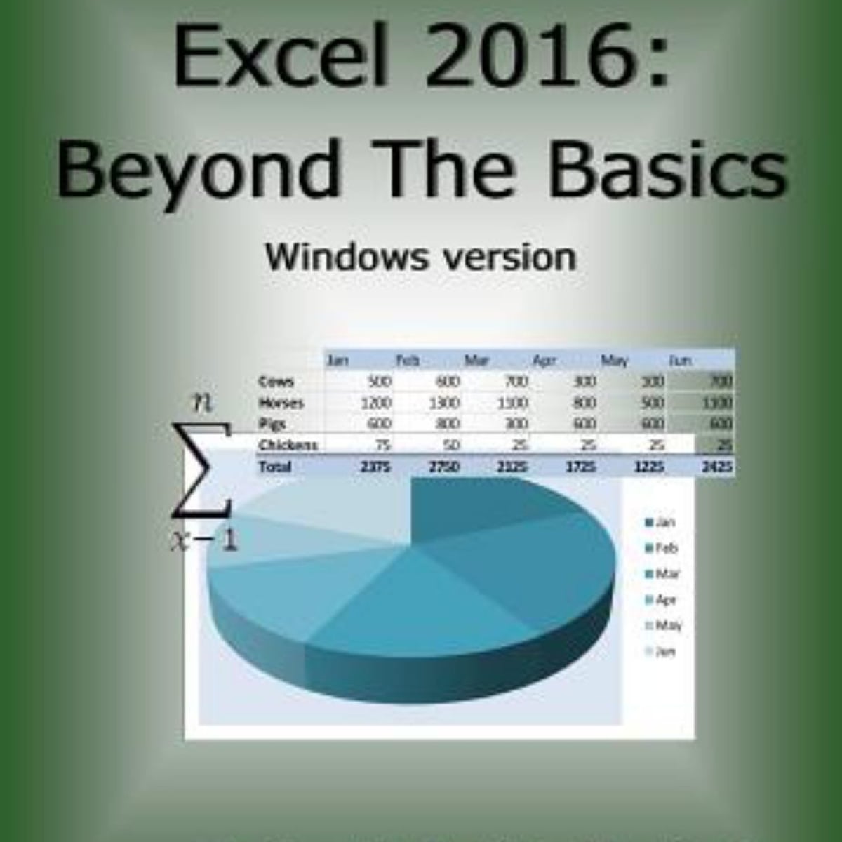 Excel 2016: Beyond the Basics by Luther Maddy