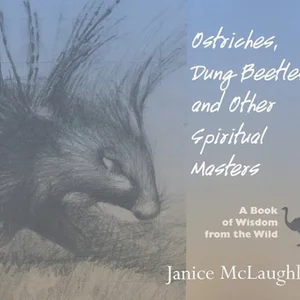 Ostriches, Dung Beetles and Other Spiritual Masters