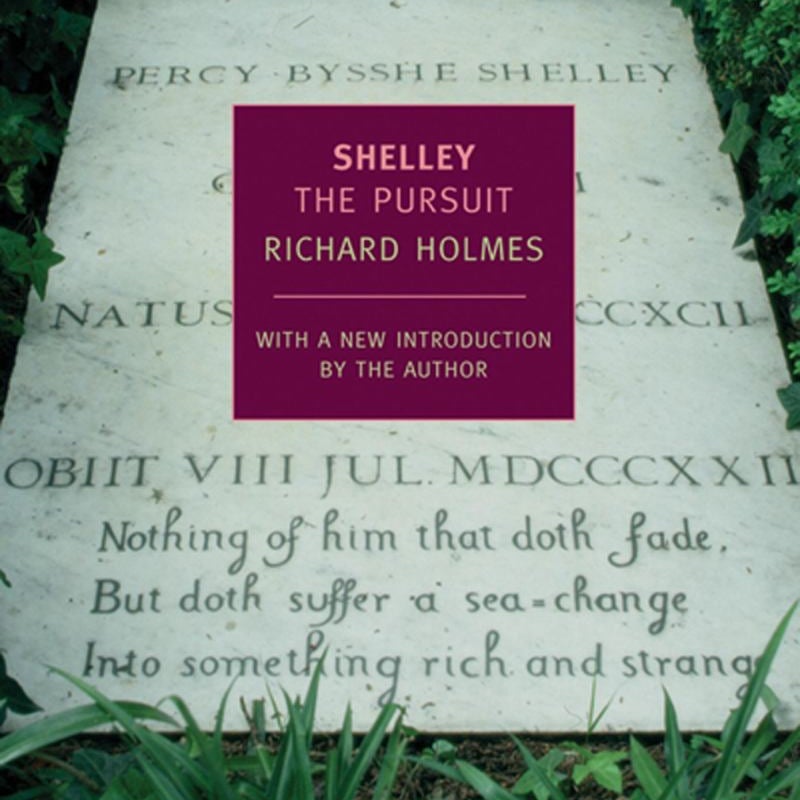 Shelley: the Pursuit