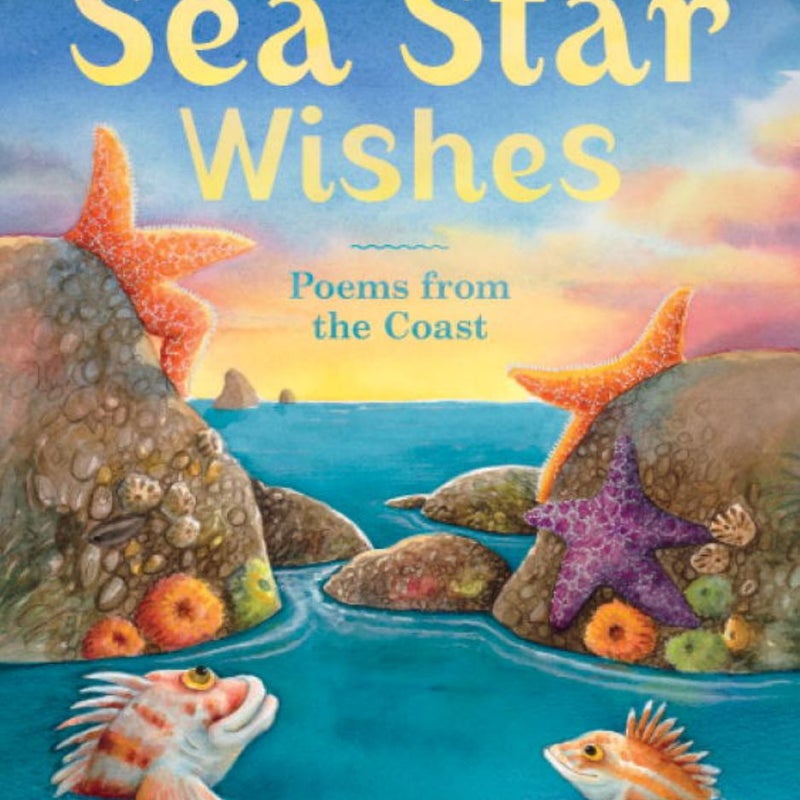 Sea Star Wishes