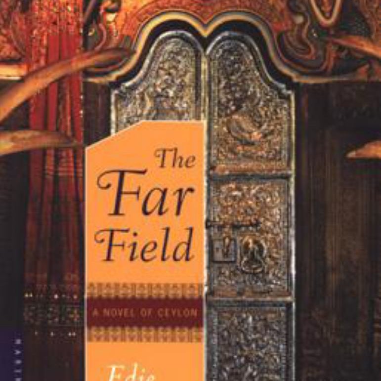 The Far Field