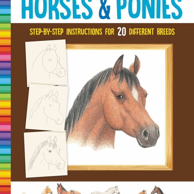 Horses and Ponies (How to Draw)