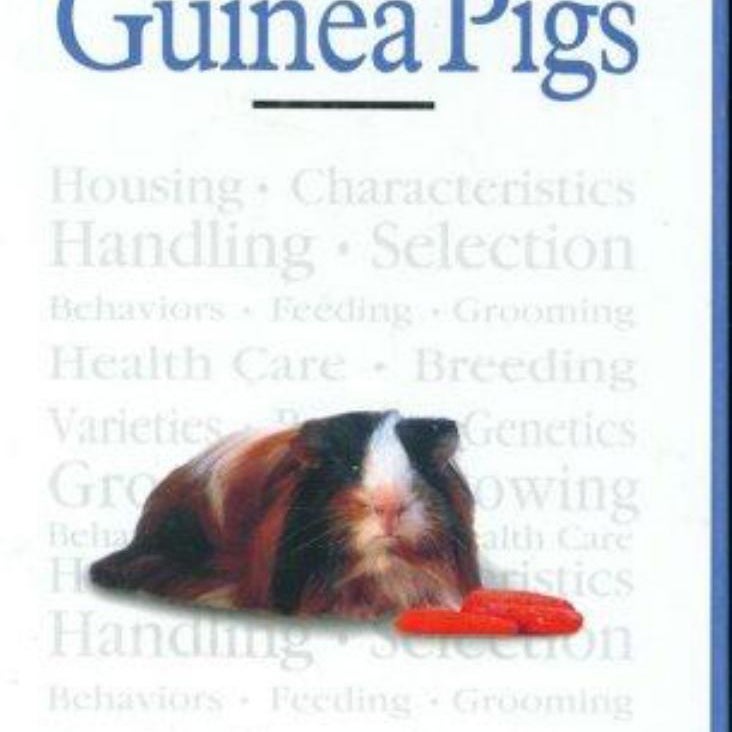 Guinea Pigs