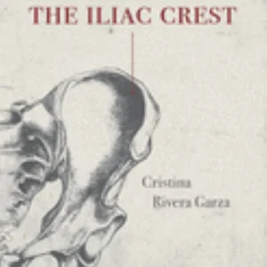 The Iliac Crest