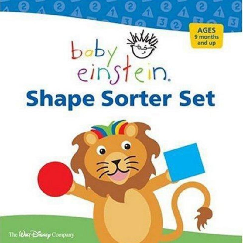 Shape Sorter Set