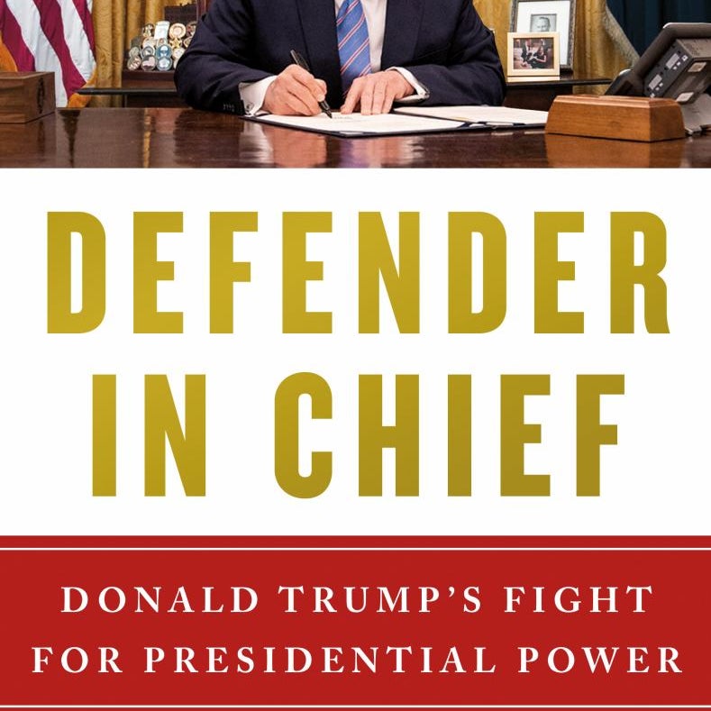 Defender in Chief