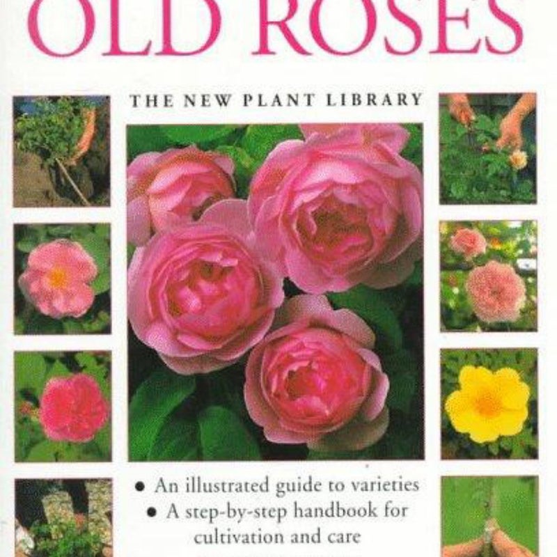 Old Roses