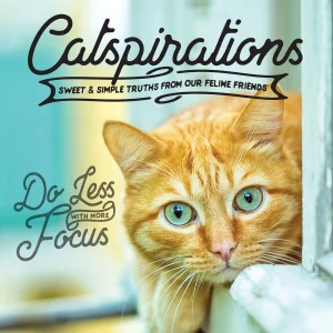 Catspirations