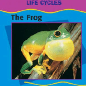 The Frog