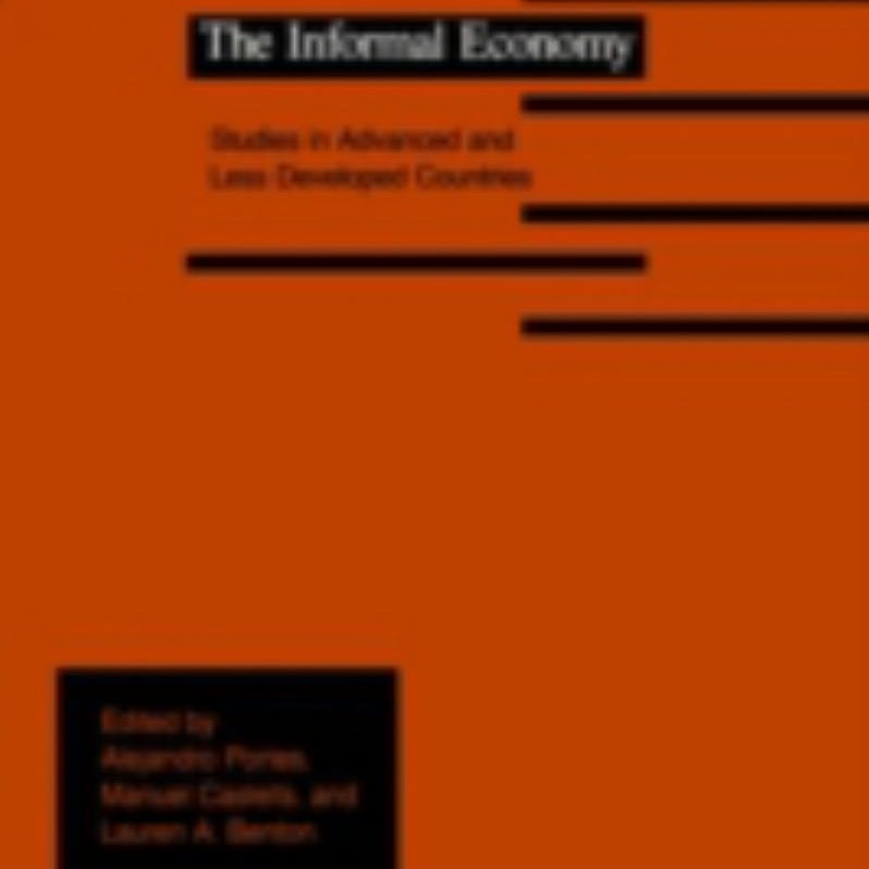 The Informal Economy