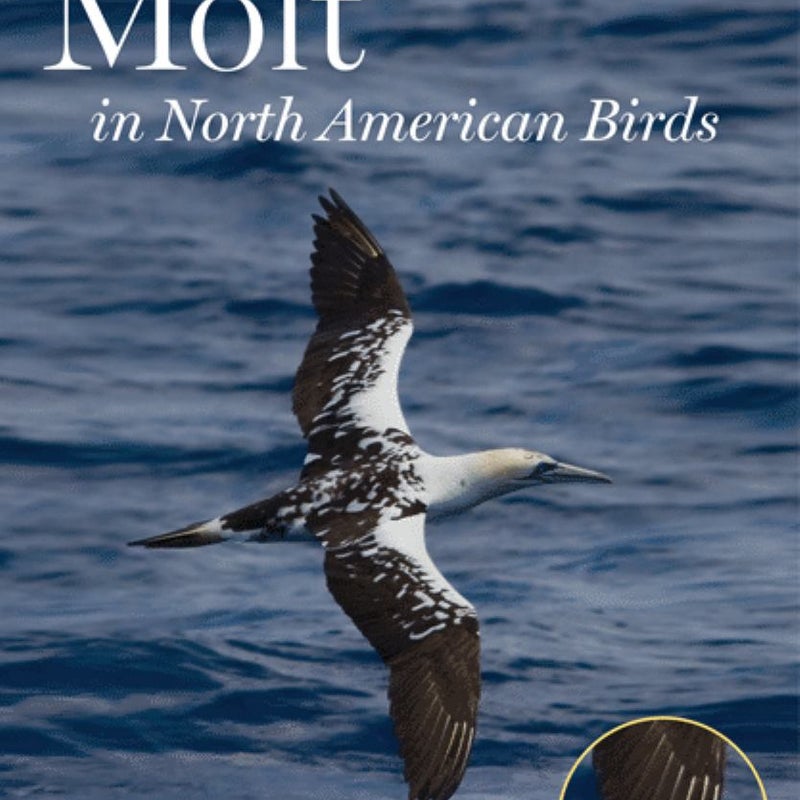 Peterson Reference Guide to Molt in North American Birds