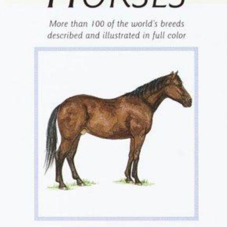 Instant Guide to Horses