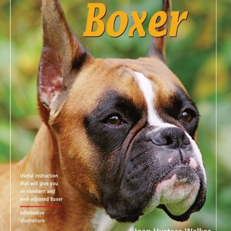 Training Your Boxer