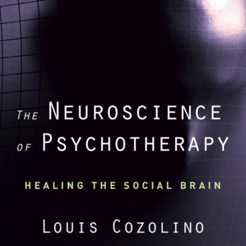 The Neuroscience of Psychotherapy