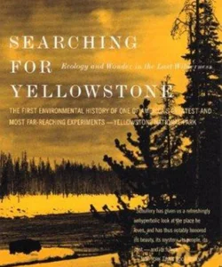 Searching for Yellowstone