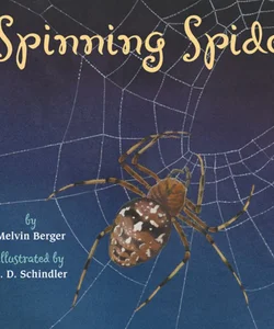 Spinning Spiders