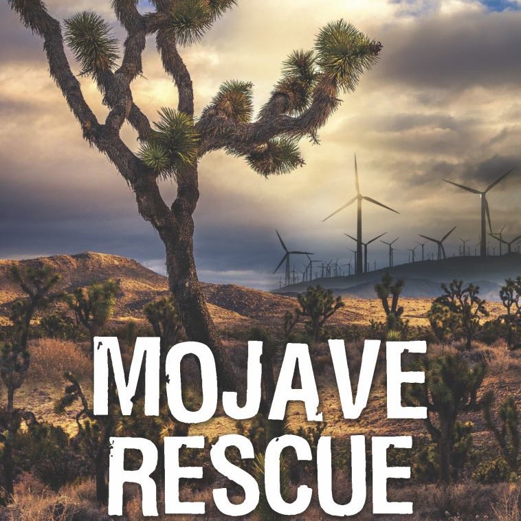 Mojave Rescue