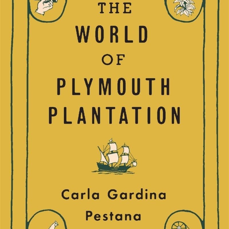 The World of Plymouth Plantation