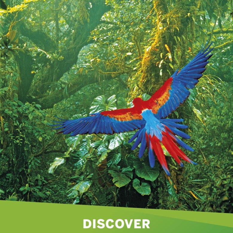 Lonely Planet Discover Costa Rica 5