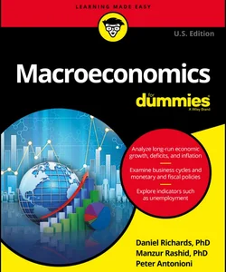 Macroeconomics for Dummies