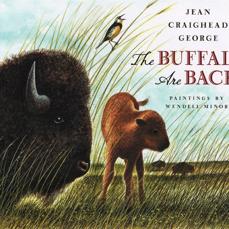 The Buffalo Are Back