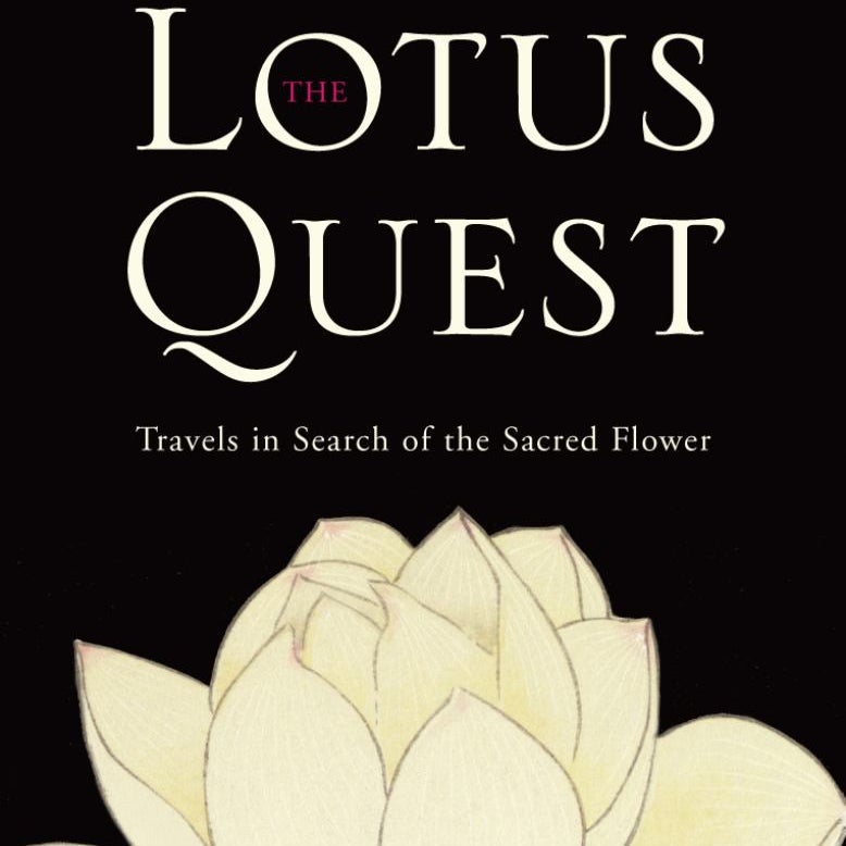 The Lotus Quest