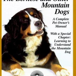 Bernese and Other Mountain Dogs