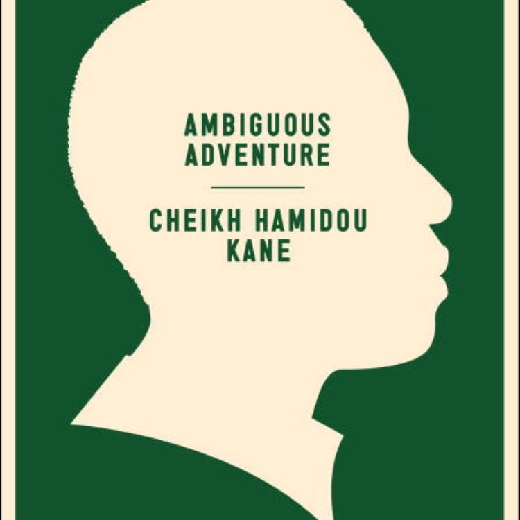 Ambiguous Adventure