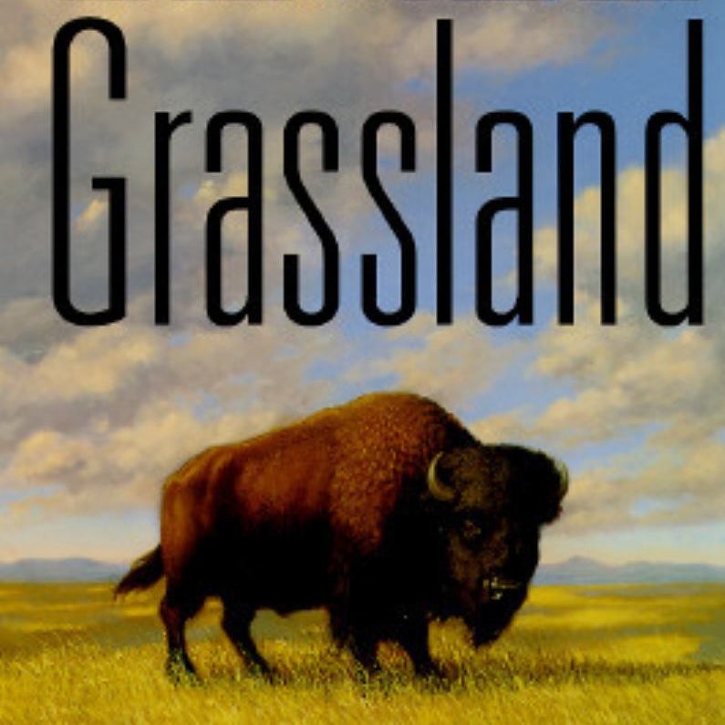 Grassland