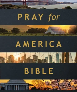 The One Year Pray for America Bible NLT