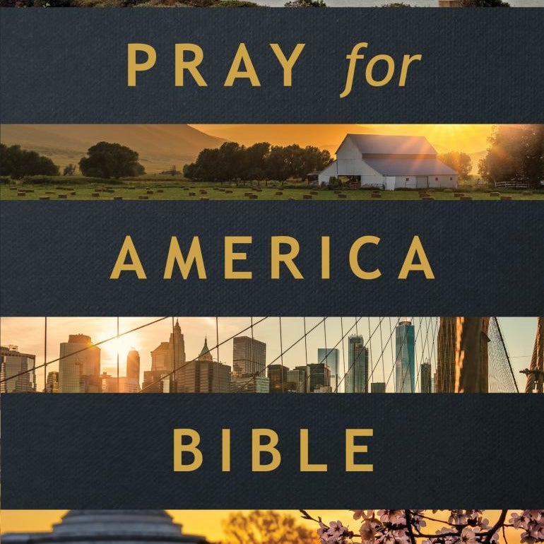 The One Year Pray for America Bible NLT