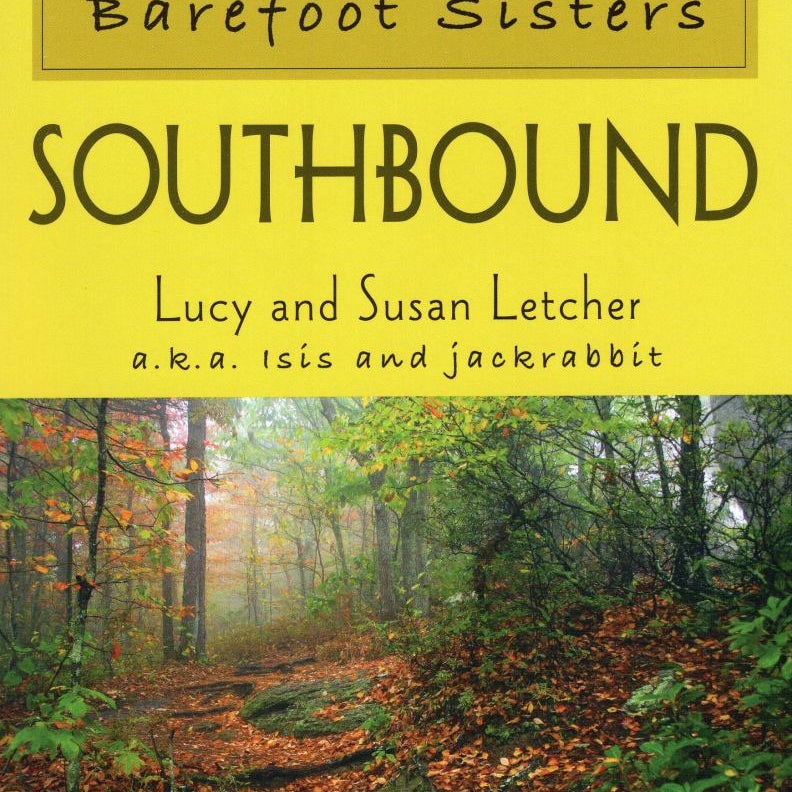 The Barefoot Sisters Southbound By Lucy Letcher Pangobooks