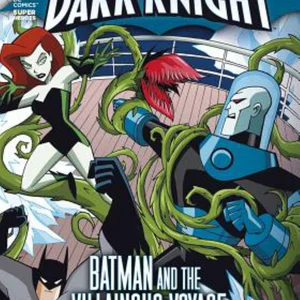 The Dark Knight: Batman and the Villainous Voyage