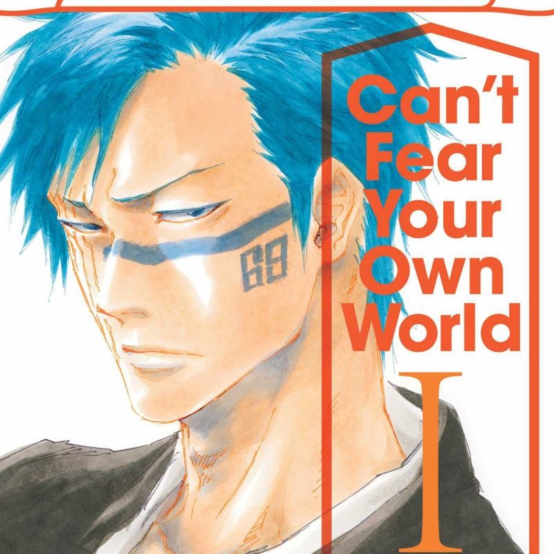 Bleach: Can't Fear Your Own World, Vol. 1