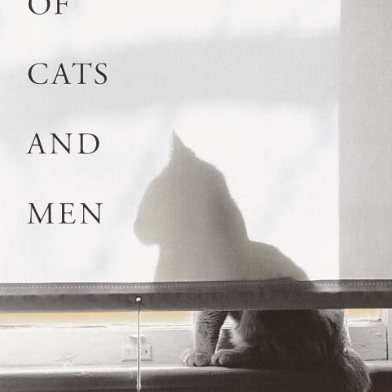 Of Cats and Men