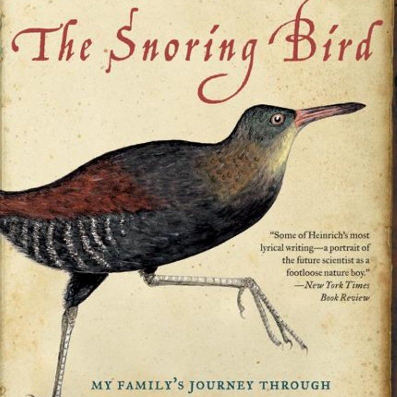 The Snoring Bird