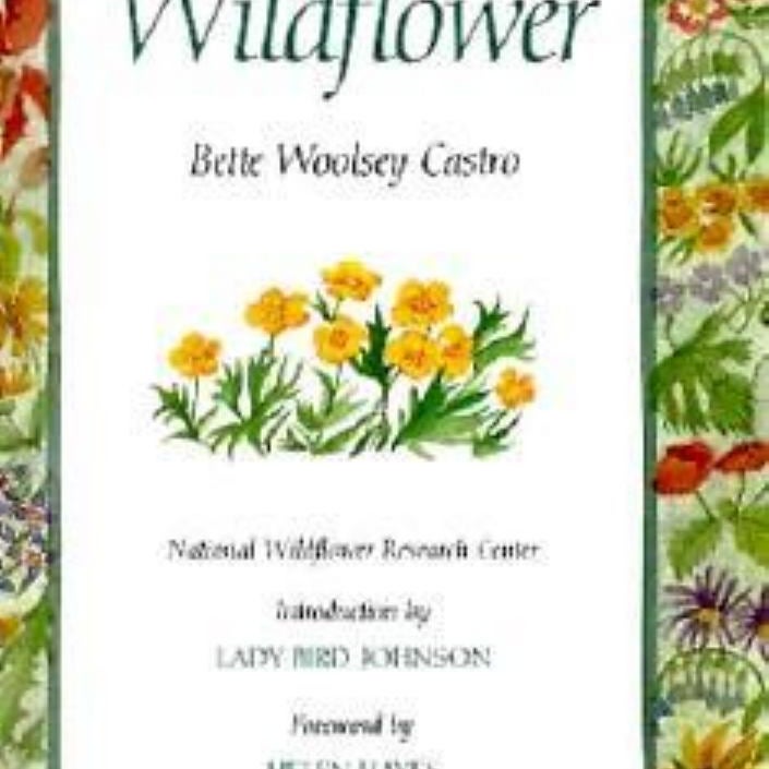 The Wildflower by Helen Hayes Pangobooks