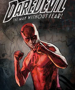 DAREDEVIL by BRIAN MICHAEL BENDIS and ALEX MALEEV ULTIMATE COLLECTION BOOK 2